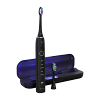 TRUELIFE SonicBrush Clean70 UV Black