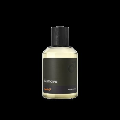 BEVIRO Pánský parfém s vůní Šumavy 50 ml