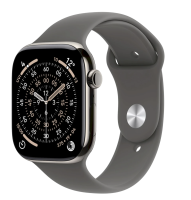 APPLE Watch 11 GPS + Cellular 46mm Natural Titanium Case with Stone Grey Sport Band - M/L