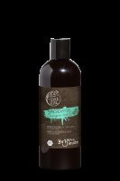 TIERRA VERDE Sprchový gel pro muže Energie máty (lahev) 500 ml