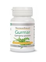 NástrojeZdraví Gurmar-Gymnema sylvestre 60 kapslí