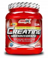 Amix Creatine monohydrate powder, 300 g