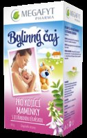 MEGAFYT Bylinný čaj pro kojící maminky s jestřabinou 20 x 1.5 g MEGAFYT Bylinný čaj pro kojící maminky s jestřabinou 20 x 1.5 g