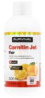 Survival Carnitin JET 3000 fair 500 ml