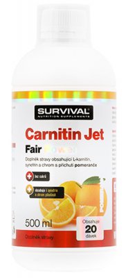 Survival Nutrition Carnitin Jet Fair Power 500ml