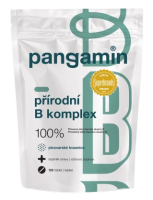 Pangamin přírodní B komplex 120 tablet