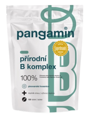 Pangamin přírodní B komplex 120 tablet