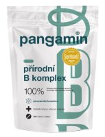 Pangamin přírodní B komplex 120 tablet