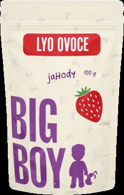 BIG BOY Jahody plátky lyofilizované Eko varianta 100 g