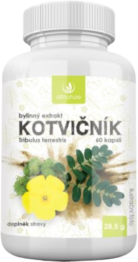 Allnature Kotvičník bylinný extrakt 60 kapslí