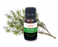 Altevita Esenciální olej 100% - Tea tree 10ml - Altevita Bio esenciální olej 100% Tea tree 10 ml