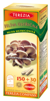 TEREZIA Hlíva ústřičná cps.150+30