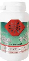 Multivitamin-minerál s echin.+ginkgo biloba 100 tablet - High Standard Product Multivitamin mineral + echinacea + Q10 100 tablet