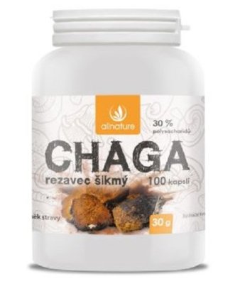 Allnature Chaga Rezavec šikmý 100 kapslí