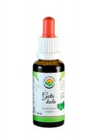 Salvia Paradise Gotu kola AF tinktura 50ml