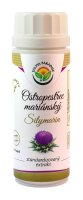 Salvia Paradise Ostropestřec - silymarin standardizovaný extrakt 100 kapslí Salvia Paradise Ostropestřec - silymarin standardizovaný extrakt 100 kapslí