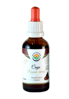 Salvia Paradise Čaga - chaga - rezavec šikmý AF tinktura 50ml Salvia Paradise Čaga - chaga - rezavec šikmý AF tinktura 50ml