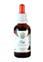 Salvia Paradise Čaga - chaga - rezavec šikmý AF tinktura 50ml Salvia Paradise Čaga - chaga - rezavec šikmý AF tinktura 50ml
