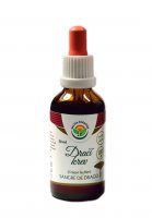 Salvia Paradise Dračí krev kapky 50ml