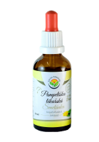 Salvia Paradise Pampeliška lékařská AF tinktura 50ml Salvia Paradise Pampeliška lékařská AF tinktura 50ml