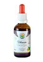 Salvia Paradise Vilcacora - Uňa de Gato AF tinktura 50ml Salvia Paradise Vilcacora - Uňa de Gato AF tinktura 50ml