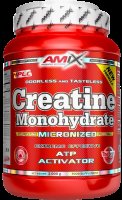 Amix Creatine monohydrate, 1000g