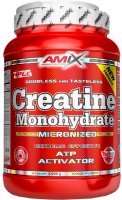 Amix Creatine monohydrate, 1000g