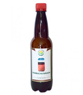 Salvia Paradise Kombucha násada 300ml