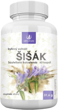 Allnature Šišák bylinný extrakt 60kapslí