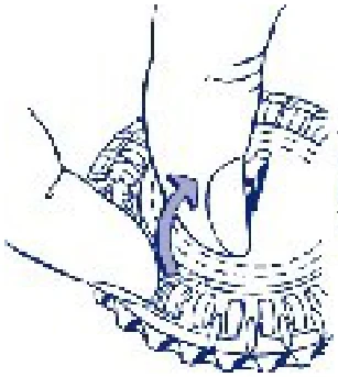Act_pic2a-280