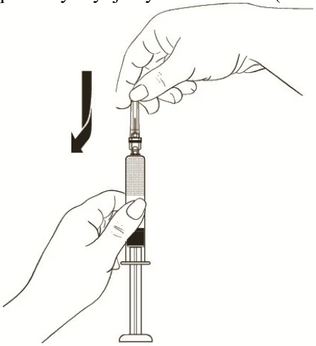 diagram6 copy
