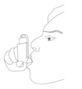 A picture containing linedrawing
Description automatically generated