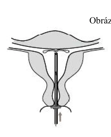 Obsah obrázku skica, kresba, umění, stůl

Obsah generovaný pomocí AI může být nesprávný.