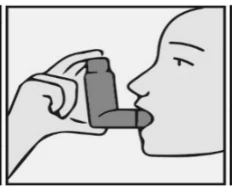 Immagine che contiene schizzo, disegno, clipart, Line art

Descrizione generata automaticamente