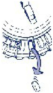 Act_pic2b-280