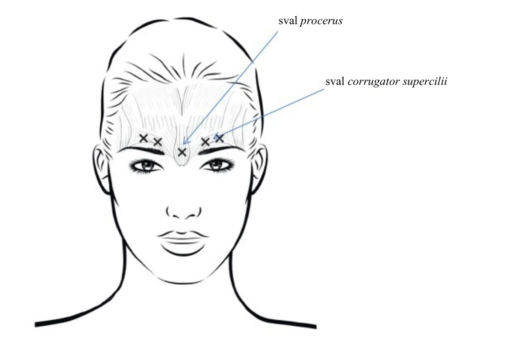 Diagram
Description automatically generated