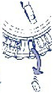 Act_pic2b-280