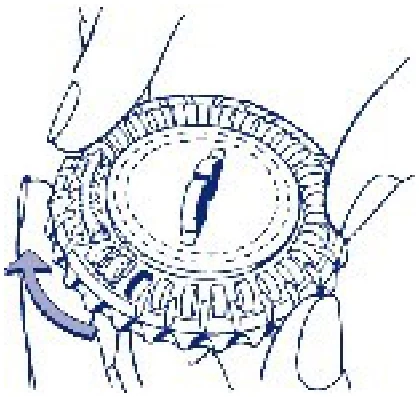 Act_pic3-280