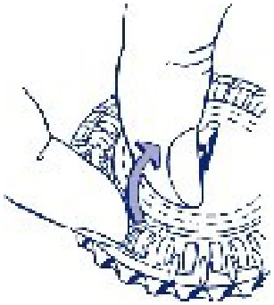 Act_pic2a-280